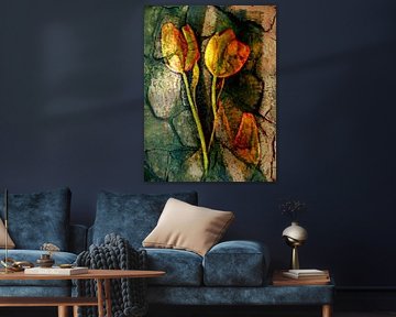 TULIPS