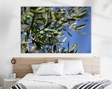 Olives sur une branche devant le ciel sur Ulrike Leone
