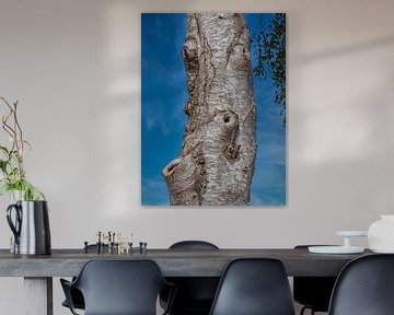 Gezicht in de boom van Beeld Creaties Ed Steenhoek | Fotografie en Kunstmatige Beelden