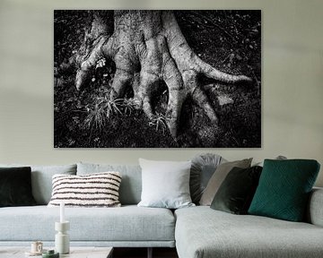 Finger roots tree abstract in black and white by Dieter Walther