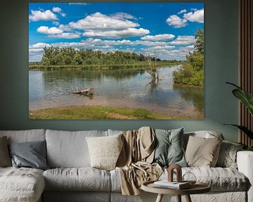 Réserve naturelle de Biesbosch sur Hans Stuurman