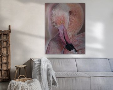 Flamingo portret van Suzanne ter Huurne