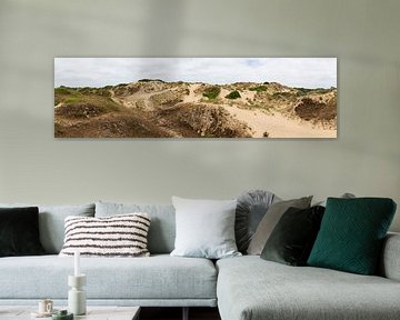 Dune du Perroquet panorama van Werner Lerooy