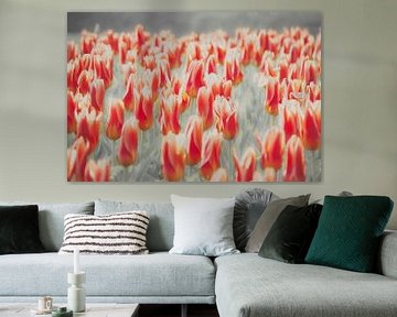 Tulpen van Kees van den Burg