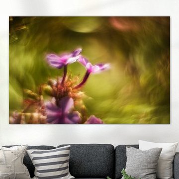 Colourful flowers by Rigo Meens