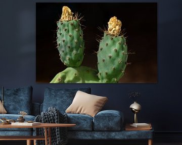 Groene cactusvijgen met bloem