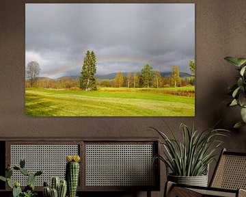 Regenboog in de herfst