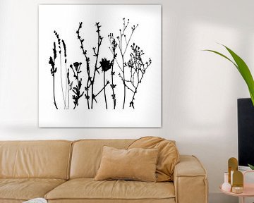 Botanische Illustration mit Pflanzen, Wildblumen und Gräsern. Schwarz und weiß. von Dina Dankers