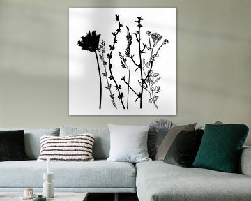 Botanische Illustration mit Pflanzen, Wildblumen und Gräsern 4.  Schwarz und weiß. von Dina Dankers