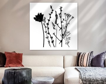 Botanical illustration with plants, wild flowers and grasses 4.  Black and white. by Dina Dankers