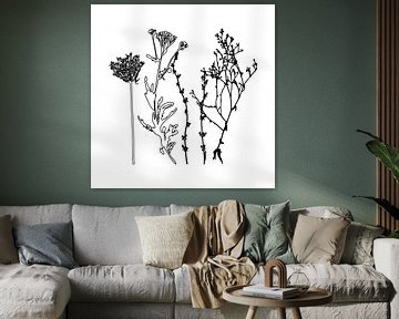 Botanische illustratie met planten, wilde bloemen en grassen 5.  Zwart wit.