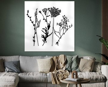 Botanische illustratie met planten, wilde bloemen en grassen 6.  Zwart wit. van Dina Dankers
