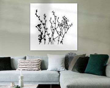 Illustration botanique avec des plantes, des fleurs sauvages et des herbes 8.  Noir et blanc. sur Dina Dankers