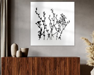 Botanische illustratie met planten, wilde bloemen en grassen 8.  Zwart wit. van Dina Dankers
