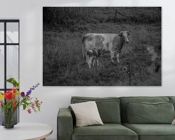Heide koe met kalf van Manon