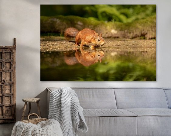 Aperçu de la chambre