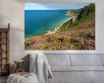 Blühende Heidelandschaft am Cap Frehel und Burg Fort La Latte, Plevenon, Bretagne von Peter Schickert