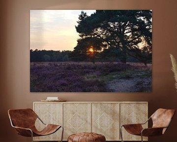 Ondergaande zon boven de heide. van Jurjen Jan Snikkenburg