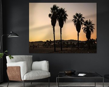 Vier palmbomen voor de Hollywood Hills van Aurica Voss