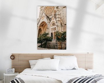 BALEARISCHE STEM