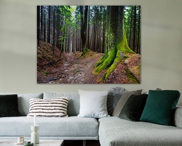 Nationaal Park Sächsische Schweiz - Malerweg in het Elbezandsteengebergte van Aurica Voss