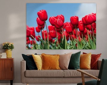 Rode tulpenveld van Rob Donders Beeldende kunst