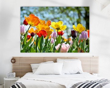 Tulpen in der Sonne von Rob Donders Beeldende kunst