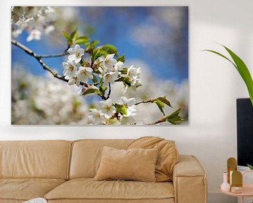 Spring Blossom by Rob Donders Beeldende kunst