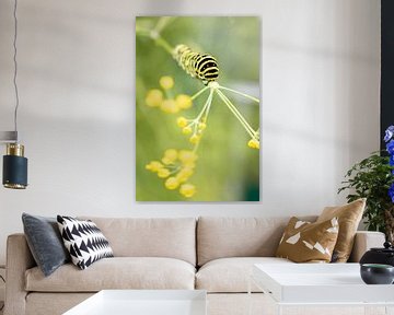 From caterpillar to butterfly | Fine art print | green world by Gabry Zijlstra