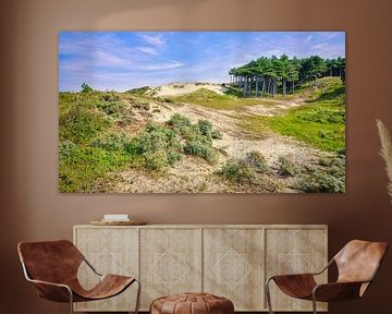 South-Kennemerland dune landscape by eric van der eijk