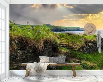 Kliffen van de Pembrokeshire Coast in Engeland