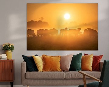 Sheep herd silhouettes on meadow at sunrise by Olha Rohulya