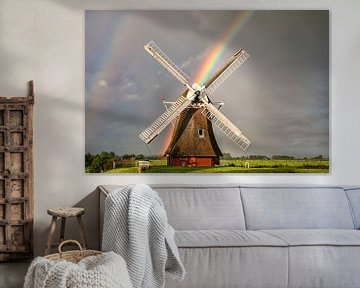 rainbow and windmill, Netherlands by Olha Rohulya