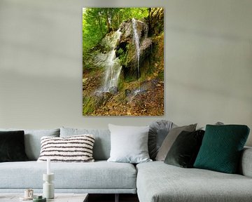 Tannegger waterval in de Wutach kloof, Duitsland van Jörg Hausmann