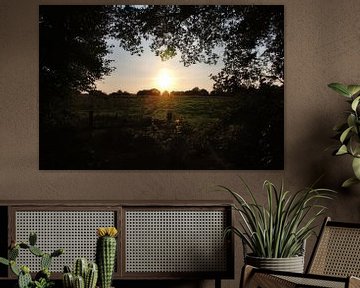 De ondergaande zon boven een Drentse weide. van Jurjen Jan Snikkenburg