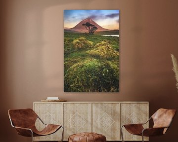 Azoren Pico Vulkan mit Mooslandschaft