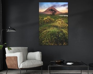 Azores Pico volcano with moss landscape by Jean Claude Castor