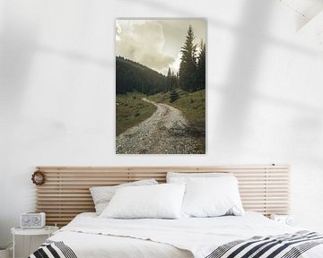 pathway at hills of rugova, Kosovo in the beautiful sunlight von Besa Art