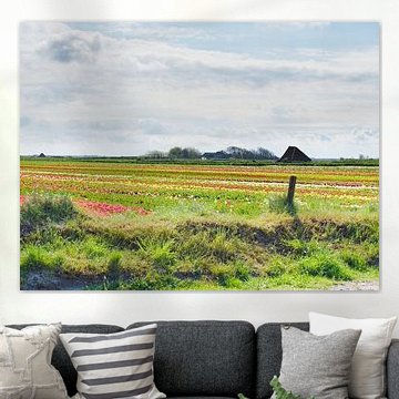 Tulip fields Dutch Island Texel