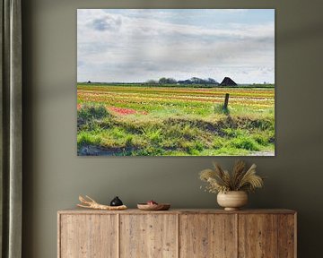 Tulpenvelden Texel Nederland van Marcel Riepe