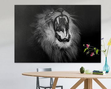 Lion sur noir sur Janine Bekker Photography