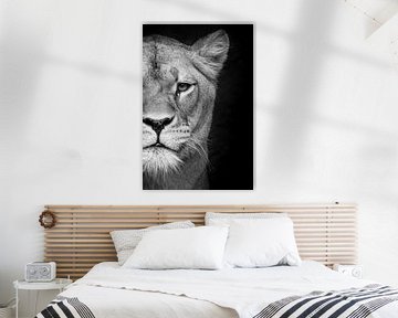 Lionne en noir sur Janine Bekker Photography