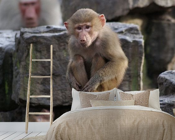 Voorbeeld van het werk in een kamer