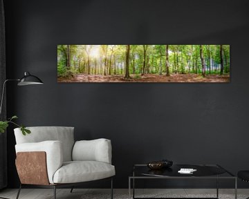 Panorama van een schilderachtig gemengd bos in het licht van de zomerzon van Günter Albers