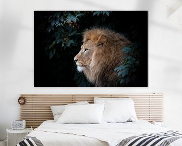 Lion sur noir sur Janine Bekker Photography