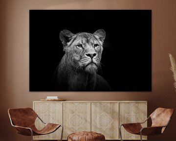 Lionne en noir sur Janine Bekker Photography