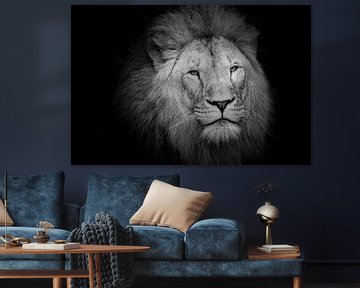 Lion sur noir sur Janine Bekker Photography