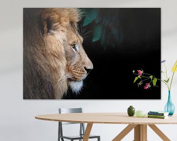 Lion sur noir sur Janine Bekker Photography