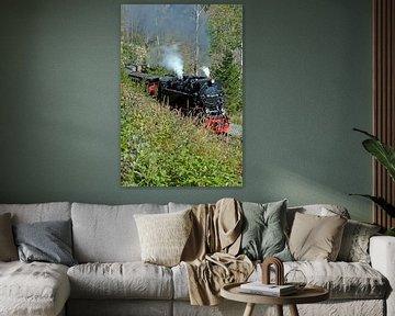 Die Harzer Schmalspurbahn auf dem Weg von Wernigerode zum Brocken von t.ART