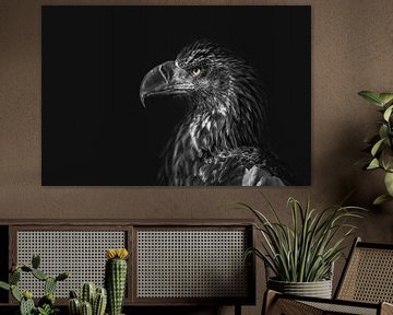 Portrait d'un aigle sur fond noir regardant vers la droite sur Steven Dijkshoorn